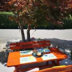 Wald - Im Skigebiet Gerlitzen & Ossiacher