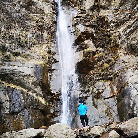 公寓 Wald - Im Skigebiet Gerlitzen & Ossiacher