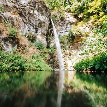 Wald - Im Skigebiet Gerlitzen & Ossiacher