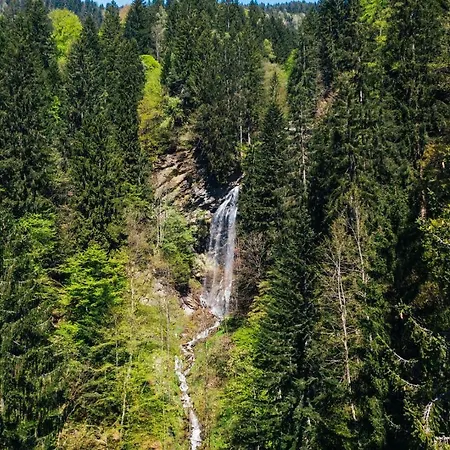 Wald - Im Skigebiet Gerlitzen & Ossiacher 公寓