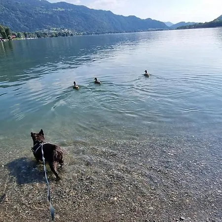 Апартаменты Wald - Im Skigebiet Gerlitzen & Ossiacher *