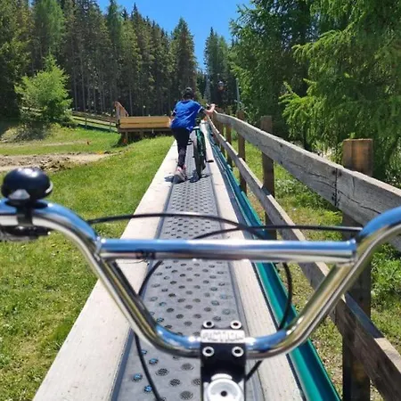 Wald - Im Skigebiet Gerlitzen & Ossiacher 公寓 博登斯多夫