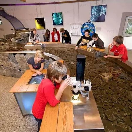 Wald - Im Skigebiet Gerlitzen & Ossiacher 公寓