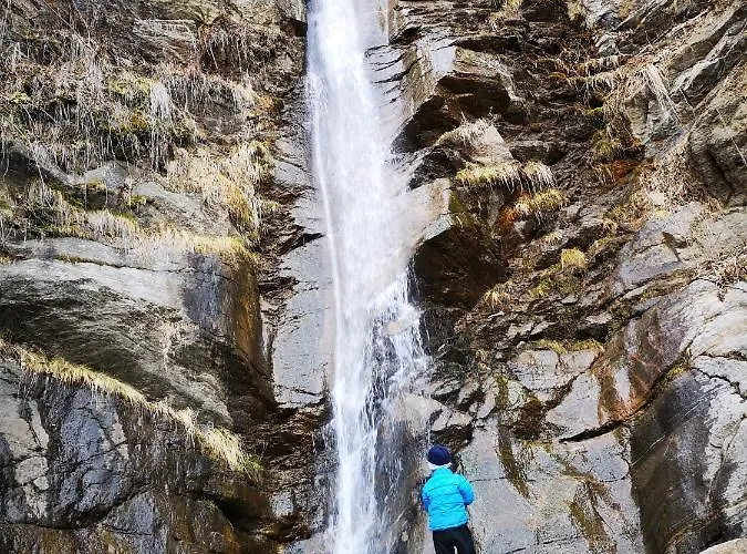 Апартаменты Wald - Im Skigebiet Gerlitzen & Ossiacher