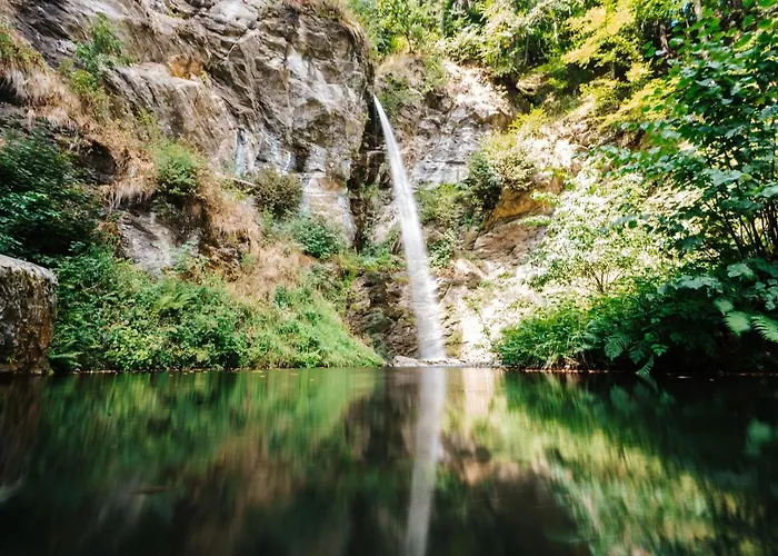 Wald - Im Skigebiet Gerlitzen & Ossiacher