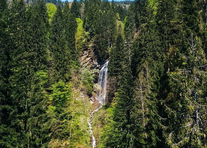 Wald - Im Skigebiet Gerlitzen & Ossiacher Lägenhet