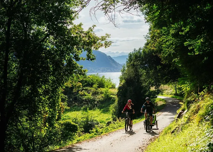 Wald - Im Skigebiet Gerlitzen & Ossiacher Apartament Bodensdorf