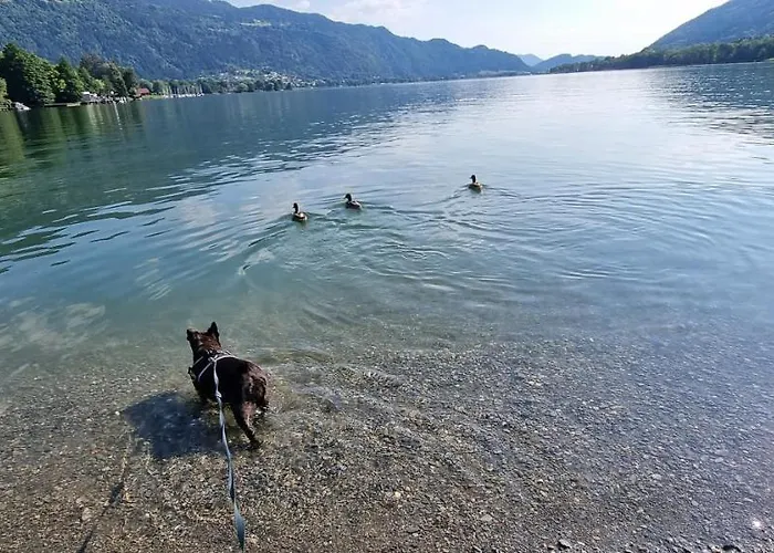 Apartament Wald - Im Skigebiet Gerlitzen & Ossiacher *