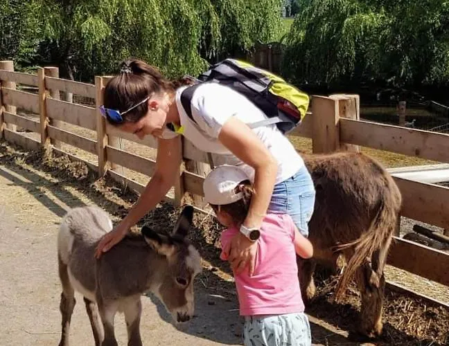 Wald - Im Skigebiet Gerlitzen & Ossiacher Lägenhet