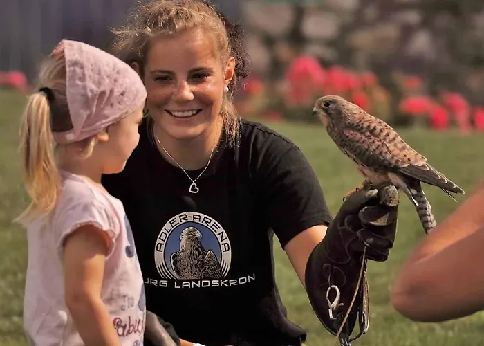 Wald - Im Skigebiet Gerlitzen & Ossiacher *