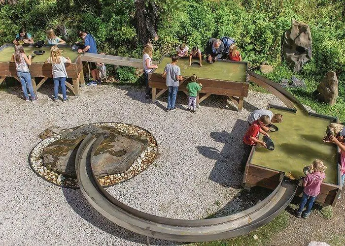 Wald - Im Skigebiet Gerlitzen & Ossiacher Lägenhet Bodensdorf