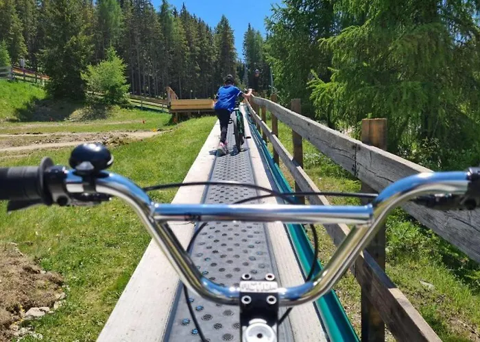 Wald - Im Skigebiet Gerlitzen & Ossiacher Apartament Bodensdorf