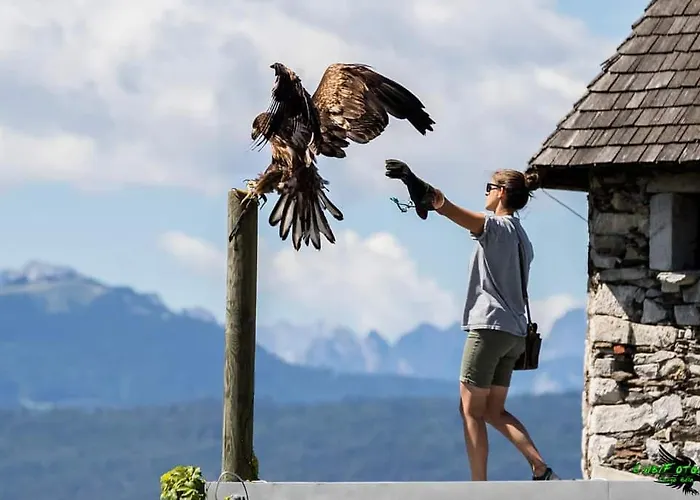 Lägenhet Wald - Im Skigebiet Gerlitzen & Ossiacher