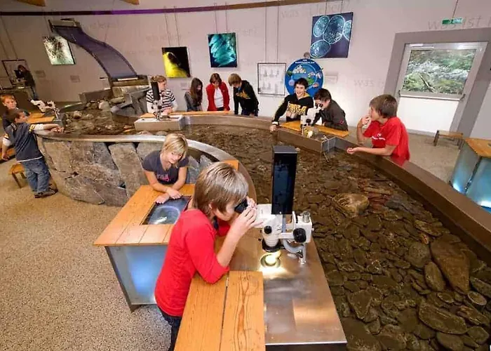 Wald - Im Skigebiet Gerlitzen & Ossiacher Lägenhet