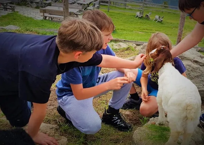 Wald - Im Skigebiet Gerlitzen & Ossiacher Bodensdorf